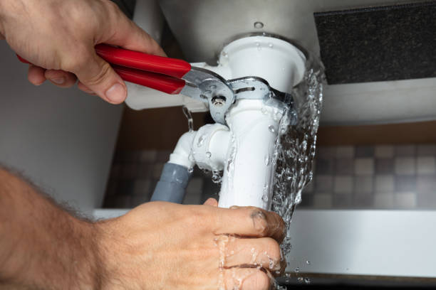 Best Mold removal after water damage  in Lone Grove, OK