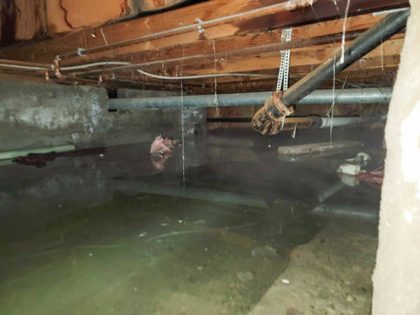 Best Fire Damage Restoration  in Lone Grove, OK
