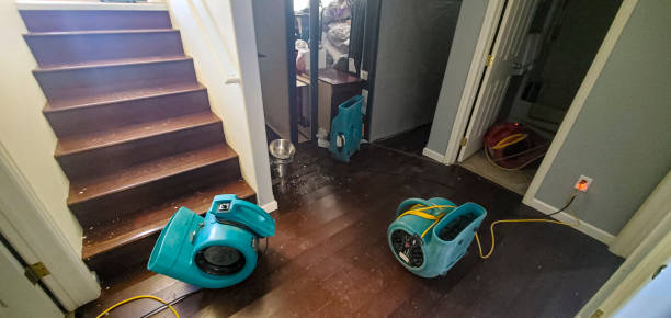 Best Local water damage restoration  in Lone Grove, OK