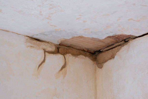 Best Commercial water damage restoration  in Lone Grove, OK