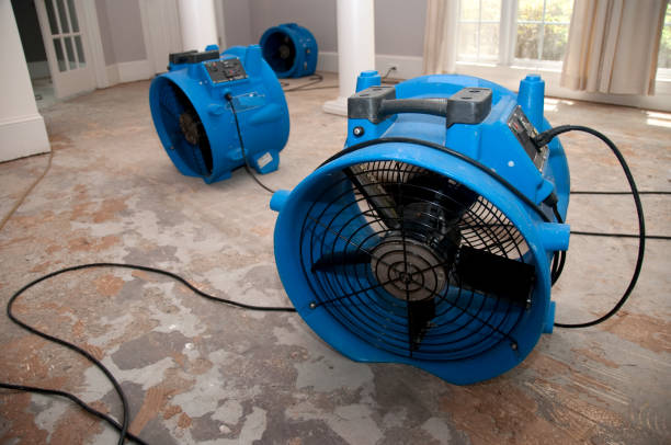 Best Sewage cleanup and water damage restoration  in Lone Grove, OK