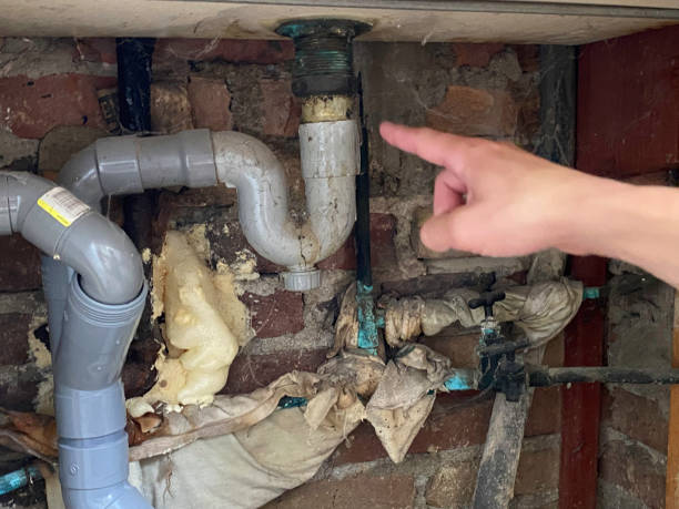 Best Water damage mitigation services  in Lone Grove, OK