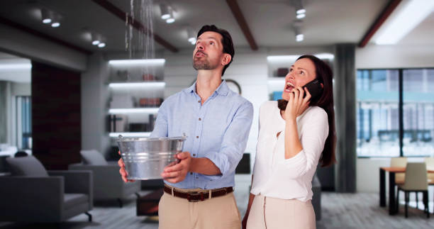 Best Professional water damage repair  in Lone Grove, OK